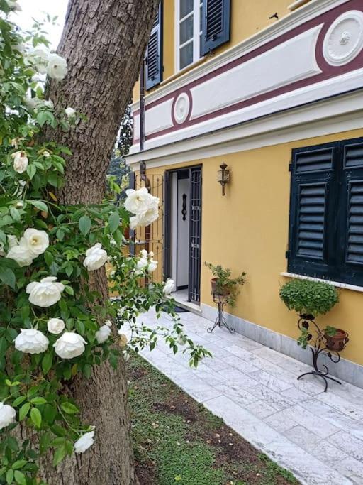 Casetta Jacaranda Genua Zewnętrze zdjęcie